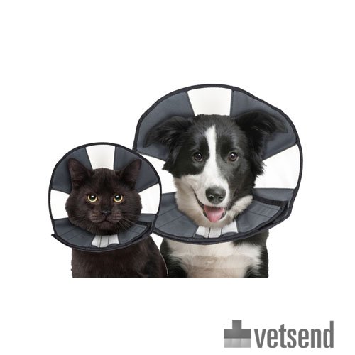 ZenPet Zen Collar Order