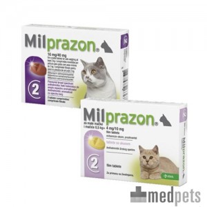 Produktbild von Milprazon Katze