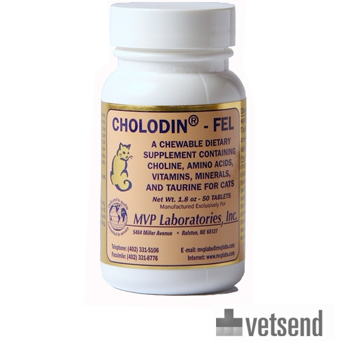 Cholodin Ageing & Dementia Dogs & Cats