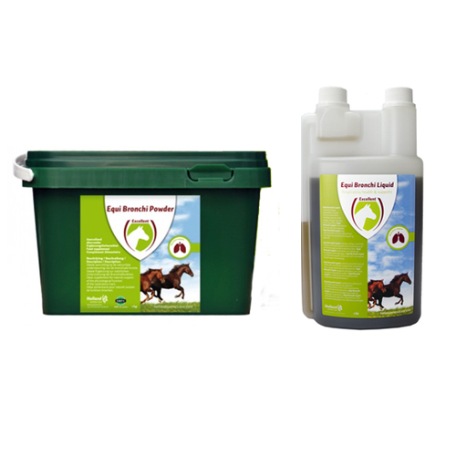 Excellent Equi Bronchi 