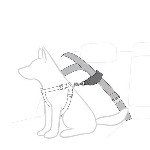 Ezydog Car Restraint Autorit Hond Bestellen