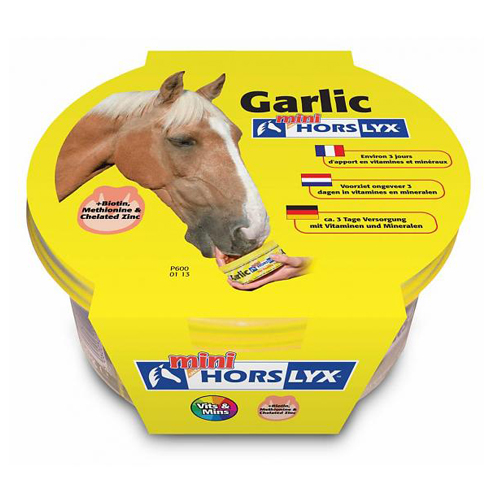 Horslyx Mini Mineral Licks Horses Shop
