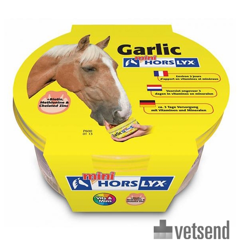 Horslyx Mini Mineral Licks Horses Shop