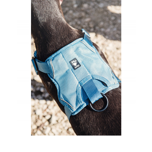 hurtta cooling harness