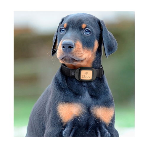 kippy pet finder