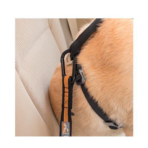 Kurgo Direct To Seat Belt Tether Hond Bestel