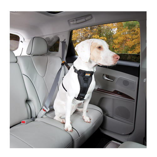 Kurgo enhanced tru fit smart harness hund bestellen