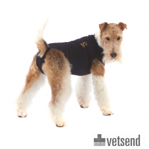 Free Pet Advice Dogs Free Pet Advice Dogs