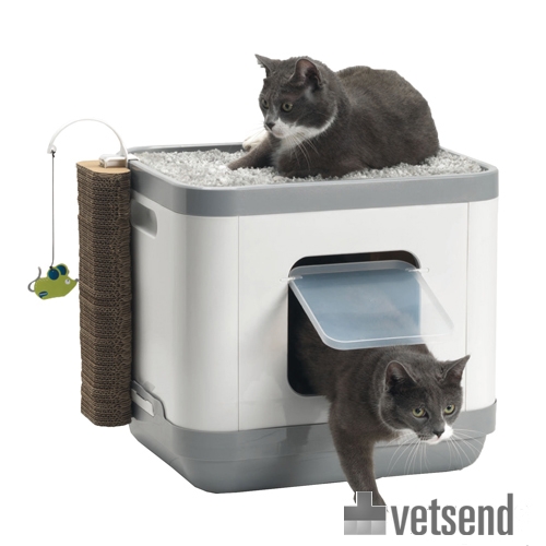 Moderna Cat Concept Reviews Moderna Cat Concept Reviews