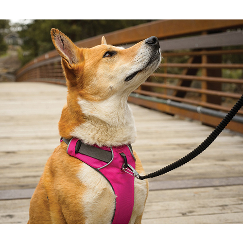 ruffwear front range xxs