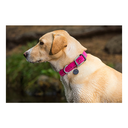 headwater collar
