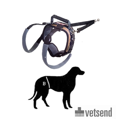 Petsafe Carelift Lift Harness Medical Instruments