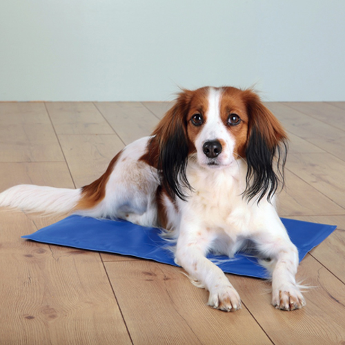 diepte Ontbering Kenmerkend Trixie Cooling Mat | Hond & Kat | Bestellen