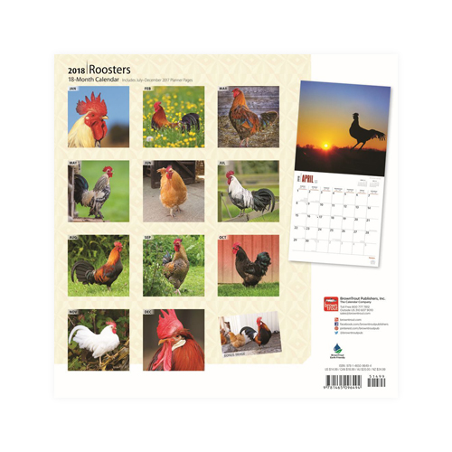 Roosters Calendar 2018 Shop Now