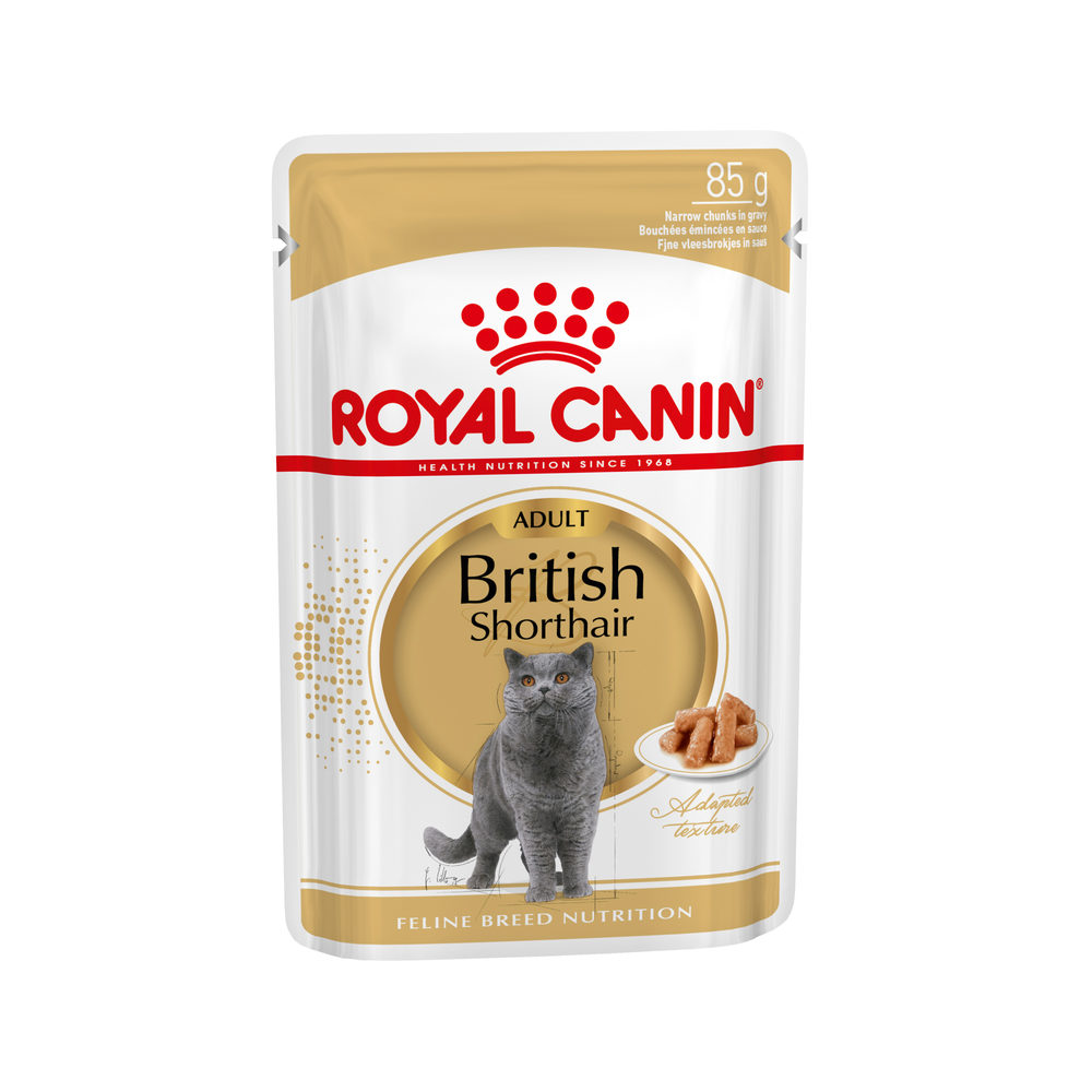 Royal Canin British Shorthair Adult Wet | Order