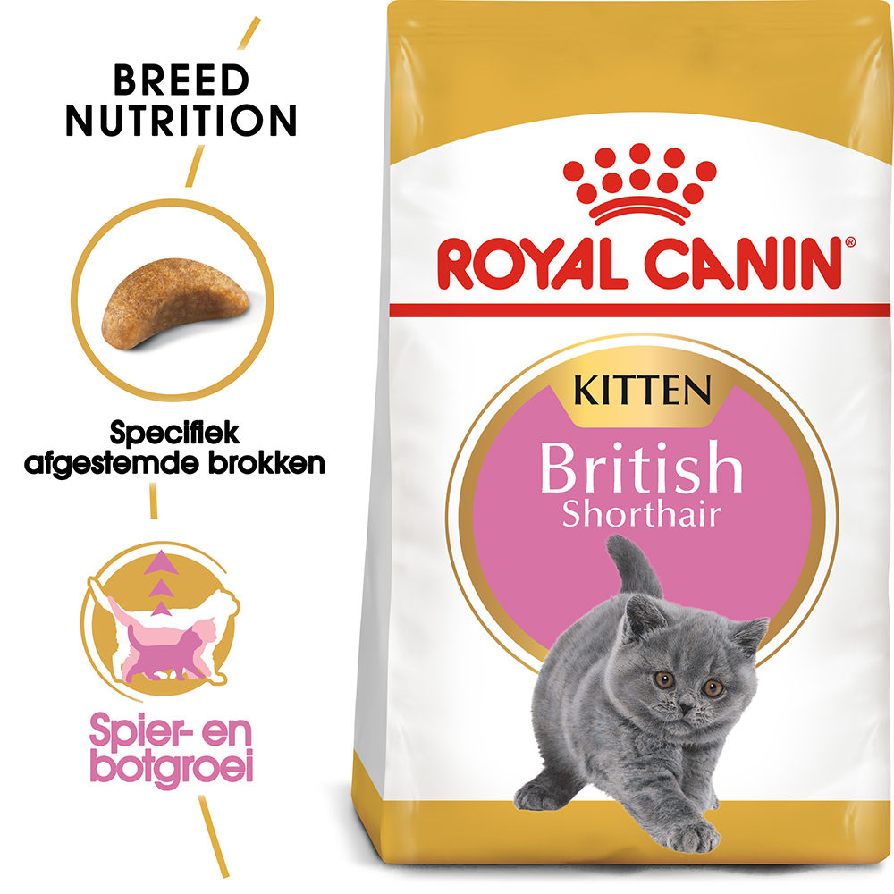 Royal Canin British Shorthair Kitten | Bestellen