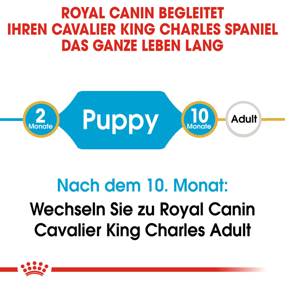 Royal Canin Cavalier King Charles Puppy Bestel