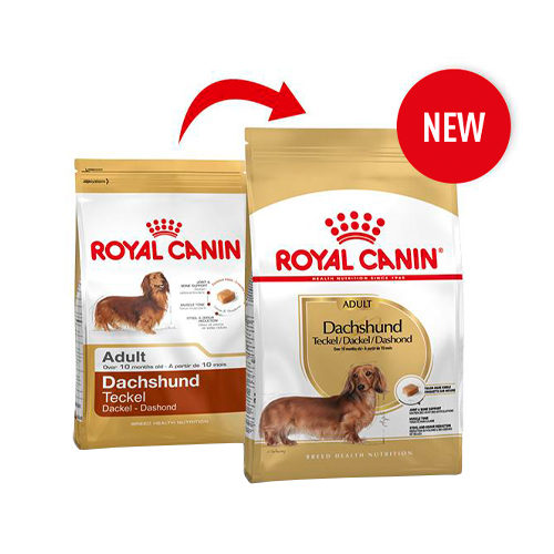 Royal Canin Dachshund Adult Dachshund Order