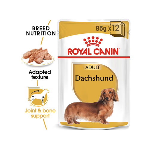 Royal Canin Dachshund Adult Wet Dogfood Order