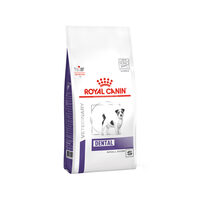 Royal canin dental - Der absolute Testsieger unseres Teams