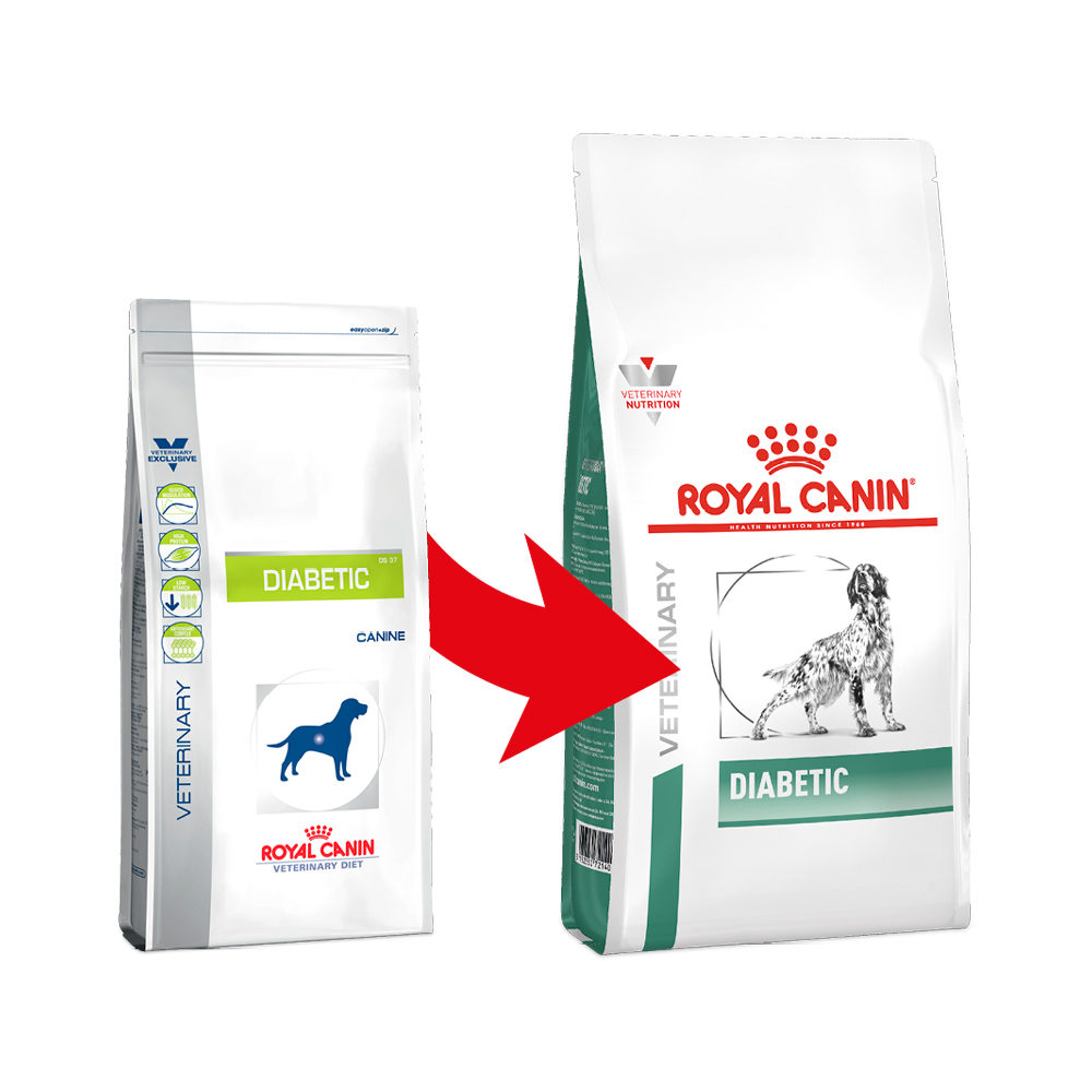 Royal Canin Diabetic Dog | Order Online