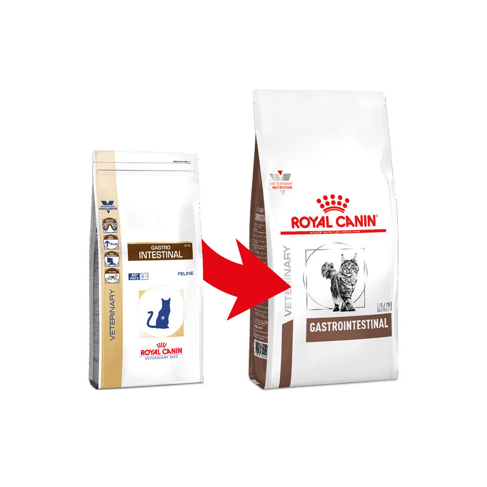 Royal Canin Gastro Intestinal | Kat | Bestellen