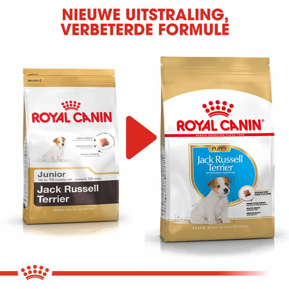 Royal Canin Jack Russel Terriër Puppy Bestellen