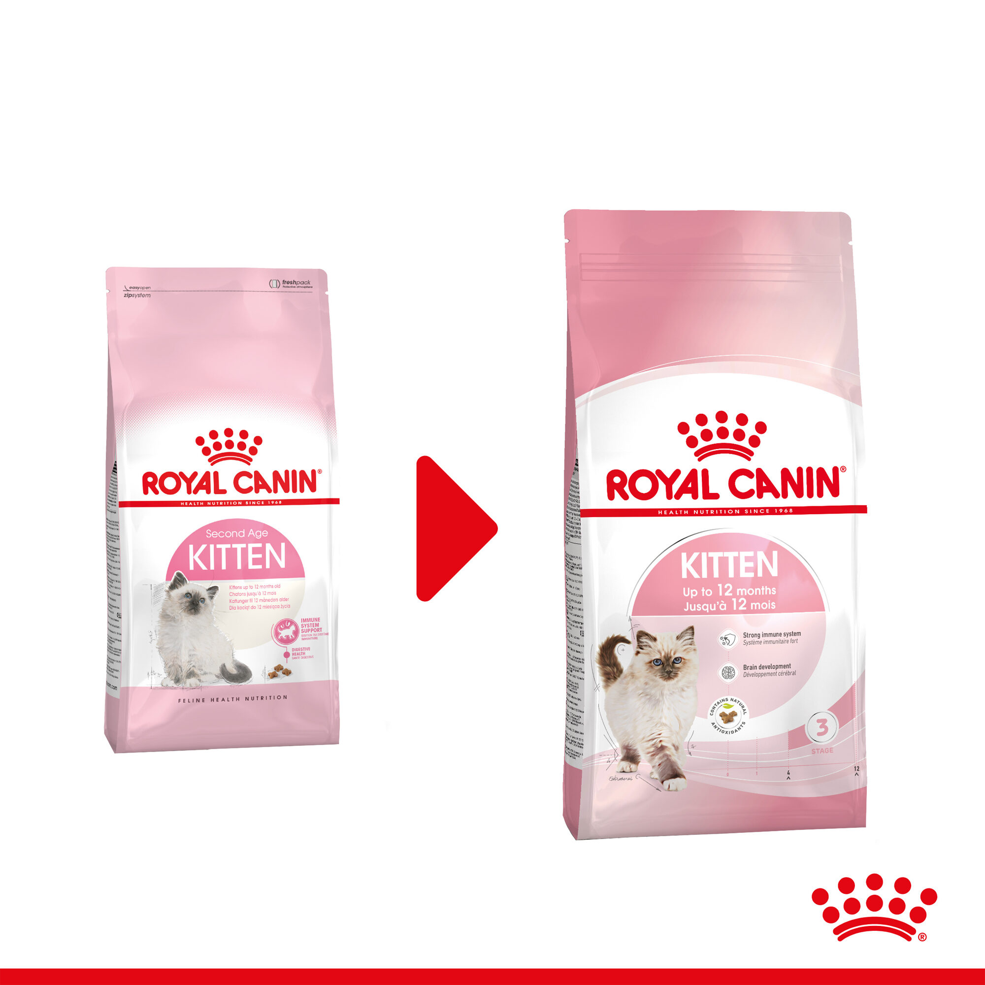 Royal Canin Kitten | Kittens | Bestellen
