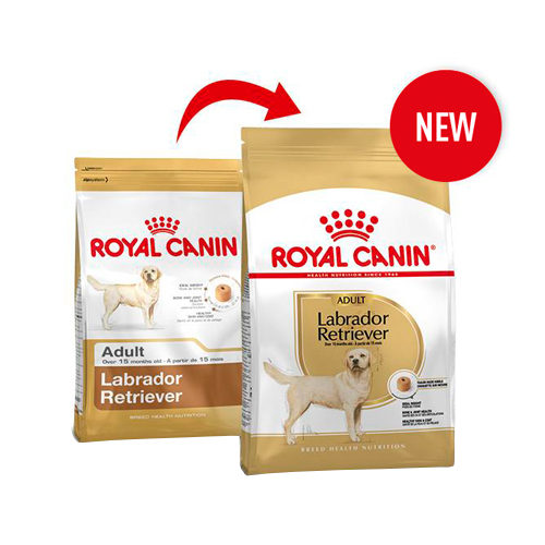 royal canin lab food