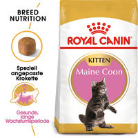 Royal Canin Maine Coon Kitten - Katzenfutter