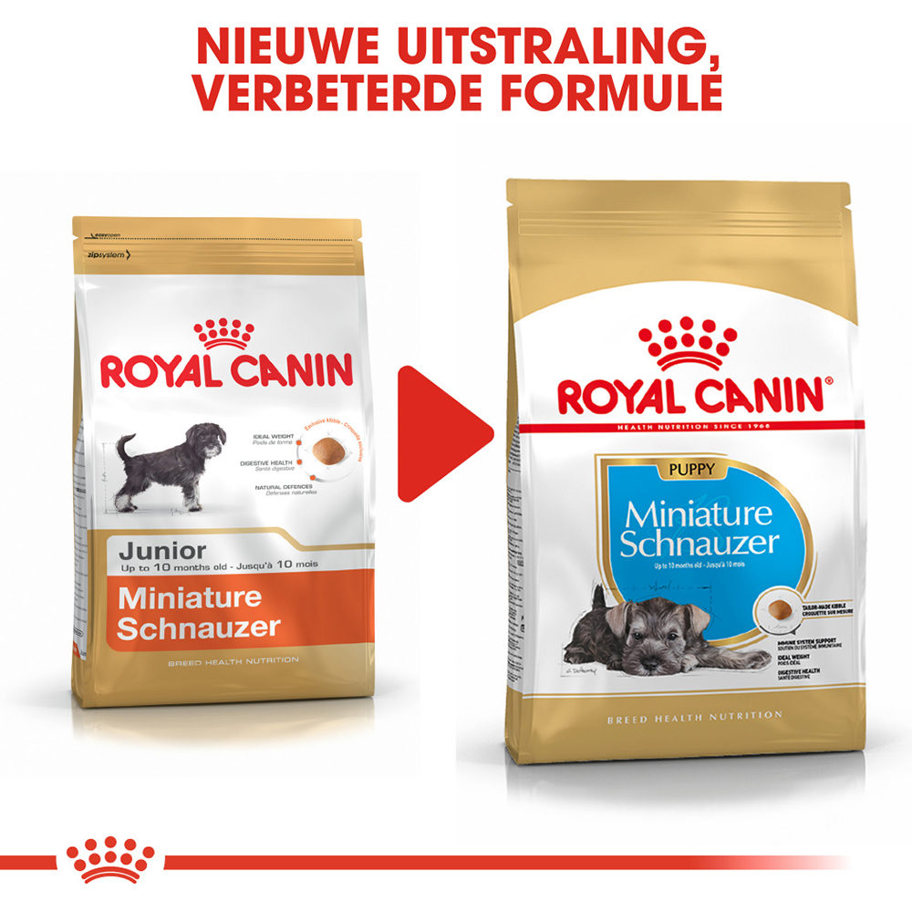 Royal Canin Mini Schnauzer Puppy Hond Bestel