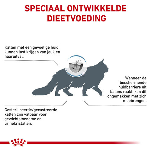 Royal Canin Skin & Coat | Katten | Bestellen