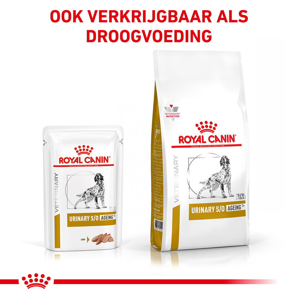 Royal Canin S/O Urinary Ageing 7+ Wet Hond