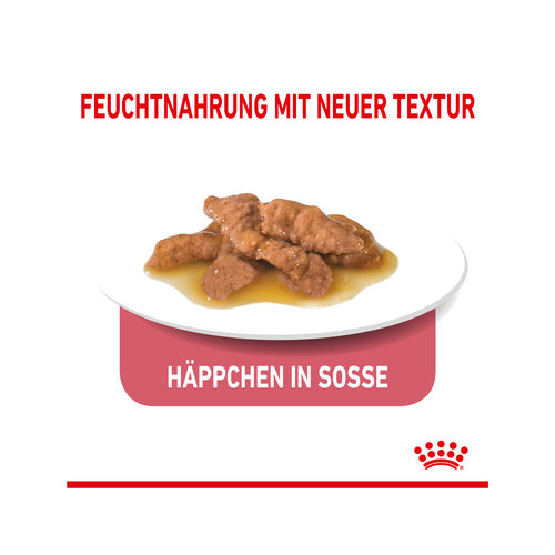 Royal Canin Sterilised Indoor in Gravy | Katzen