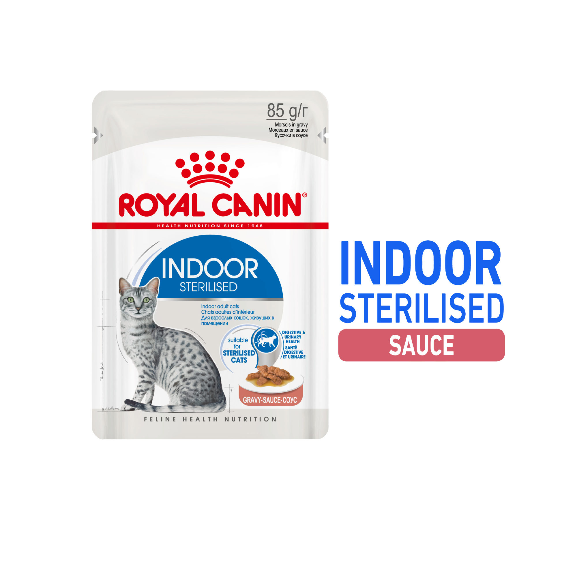Royal Canin Sterilised Indoor | Sauce | Chat