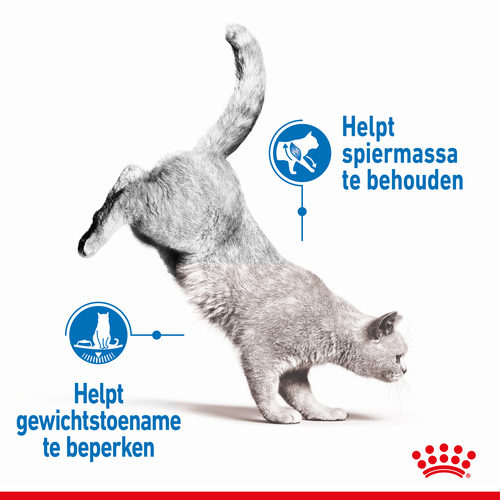 Royal Canin Light Weight Care in Gravy - Kattenvoer