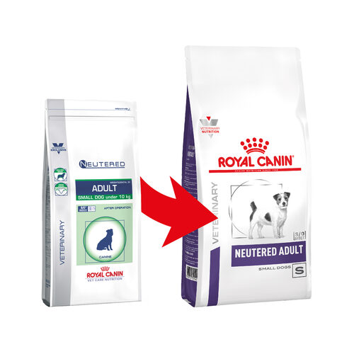 neutered dog royal canin