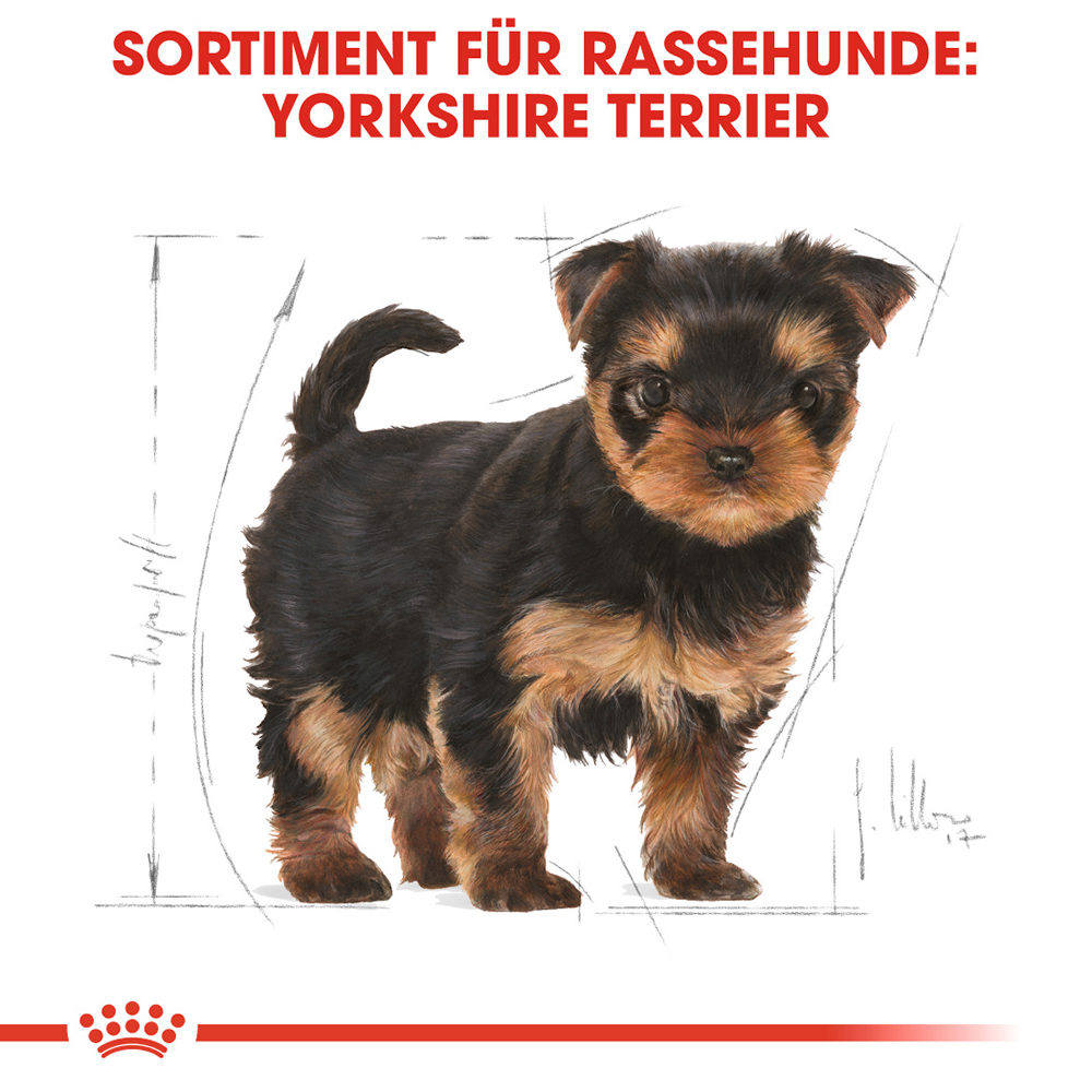 Royal Canin Yorkshire Terrier Puppy Bestellen