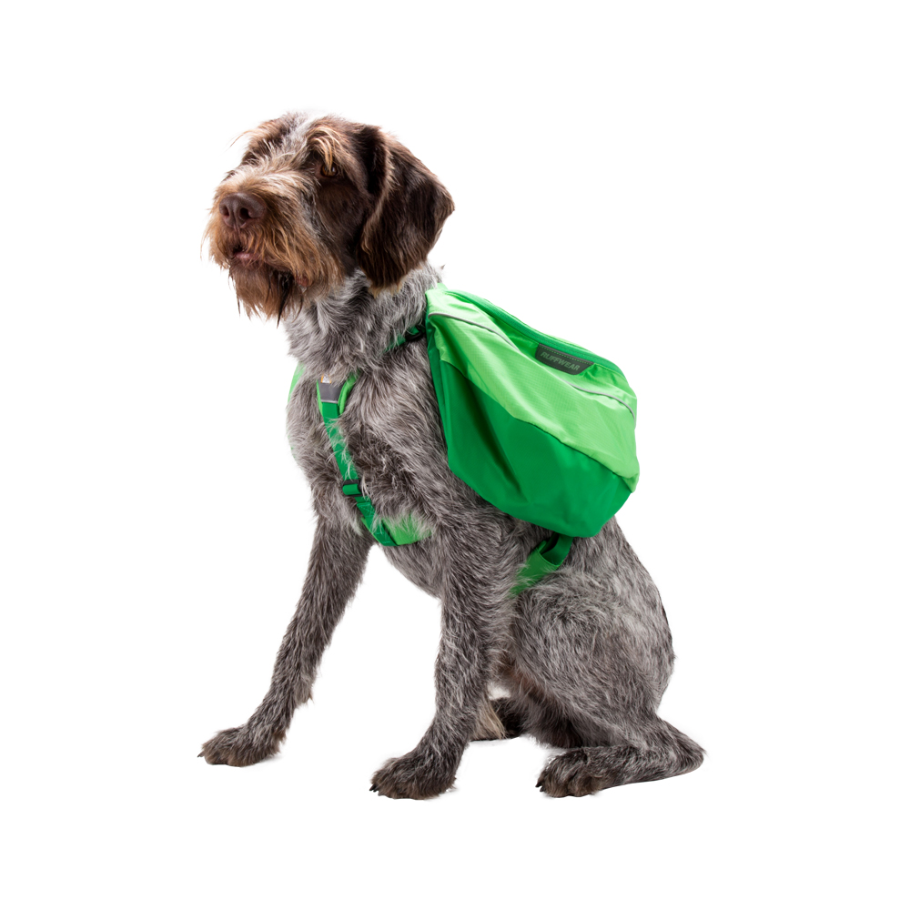 ruffwear-approach-pack-hund-bestellen