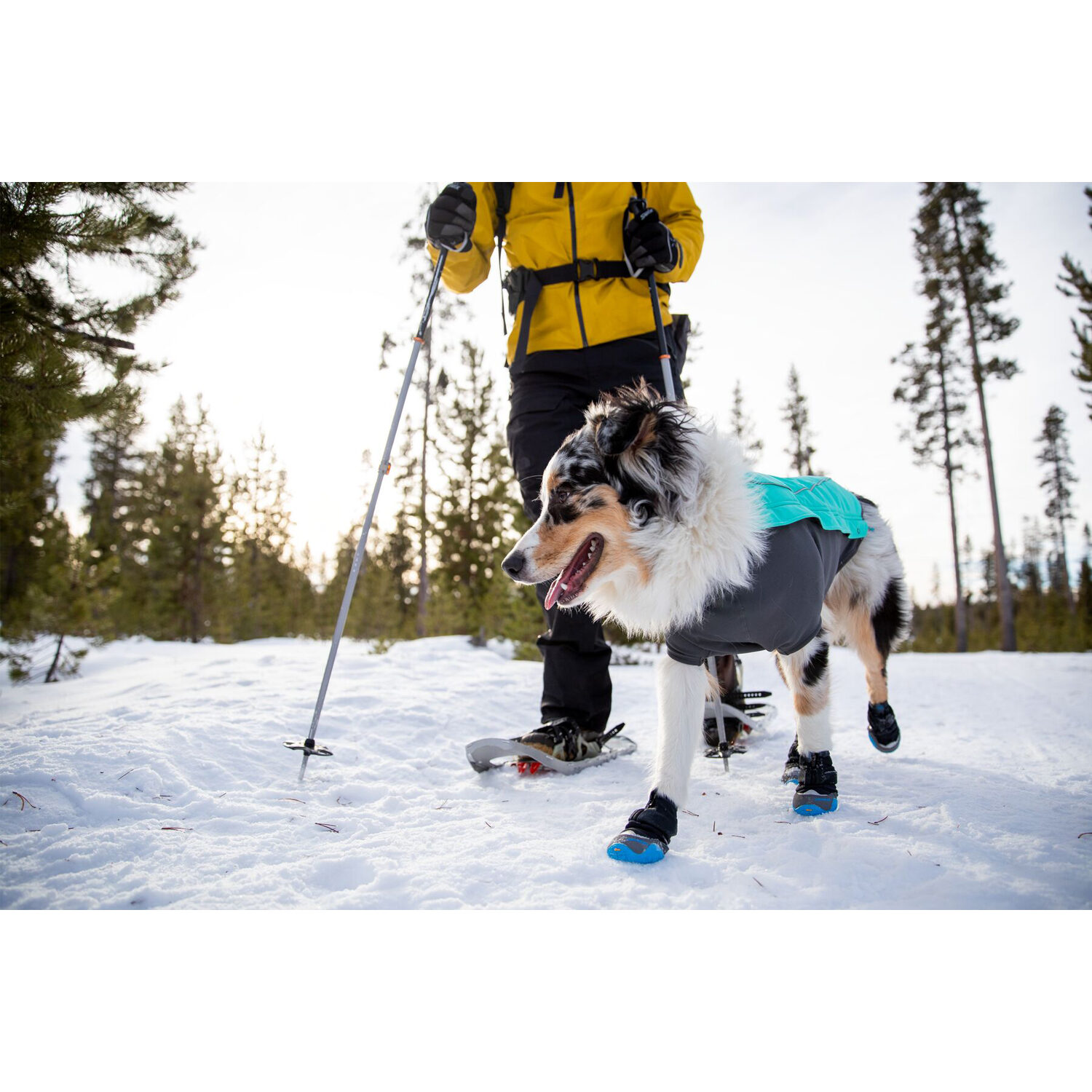 Ruffwear Summit Trex hondenschoenen, grote hondenlaarzen en hondenloopschoenen, hondenwandelschoenen voor wandelen, outdoor huisdier hond pootafdekkingen, antislip slofjes voor honden, maat L, zwart