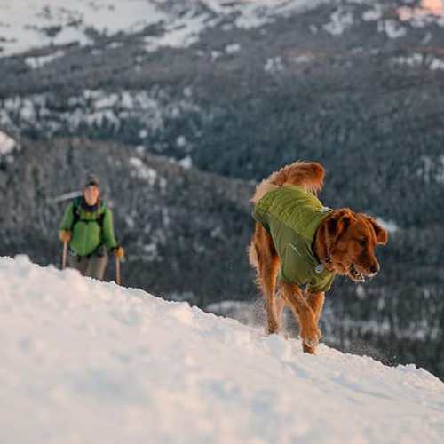 Ruffwear Powder Hound Dogs Order