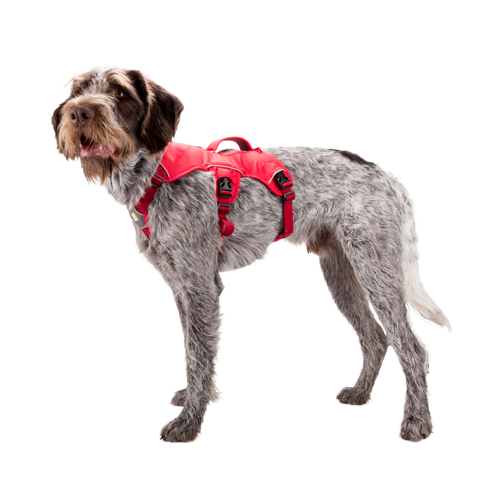 Ruffwear Webmaster Harness Dog Order