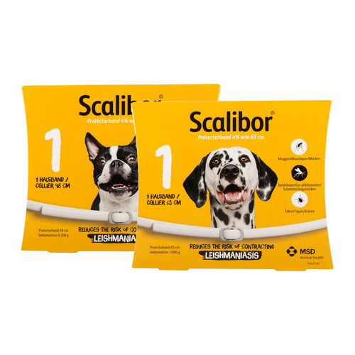 Thermisch Overtollig Overleven Scalibor Protectorband | Hond | Medpets