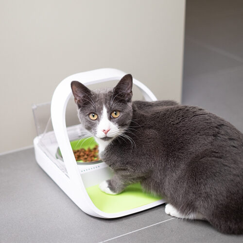 Surefeed Microchip Voerbak Connect Bestel