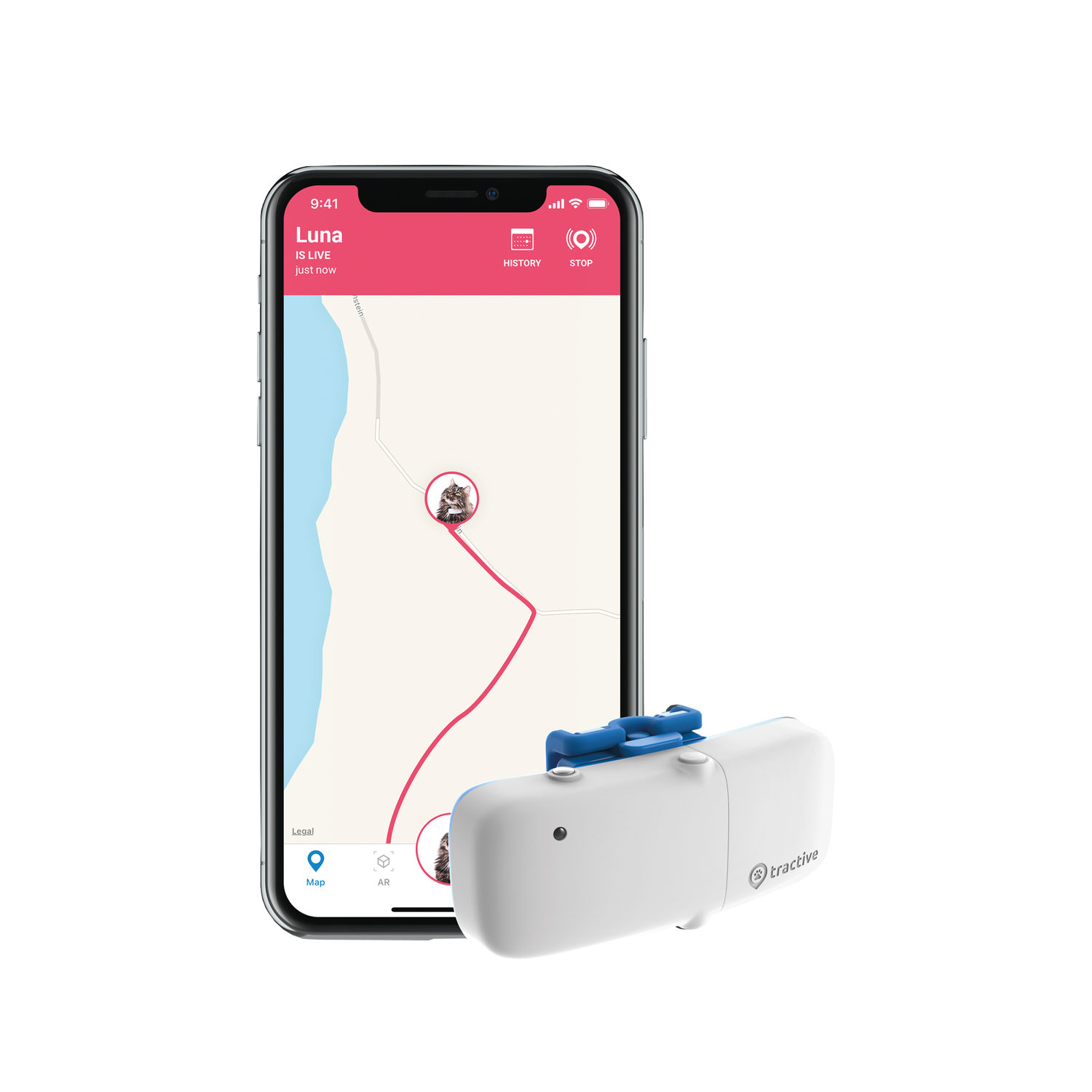Tractive GPS Tracker IKATI Katze GPS Bestellen
