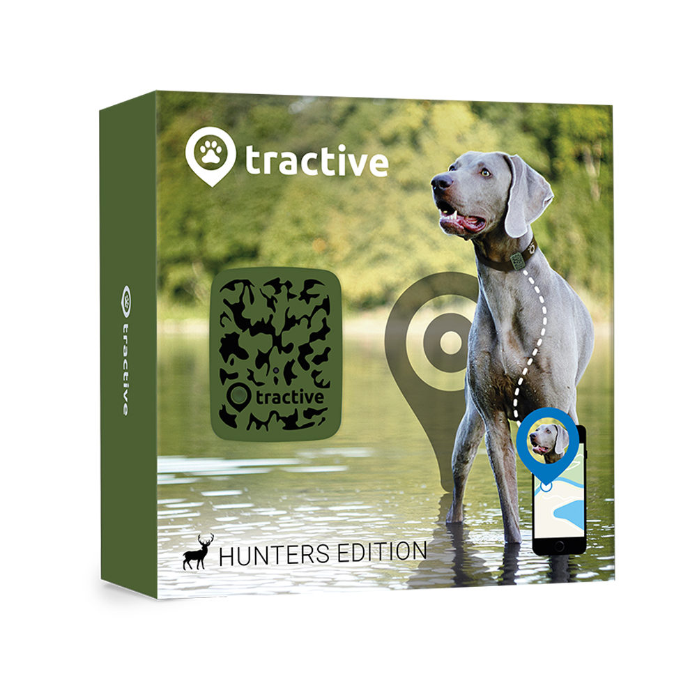 corona tracker united kingdom corona tracker united kingdom