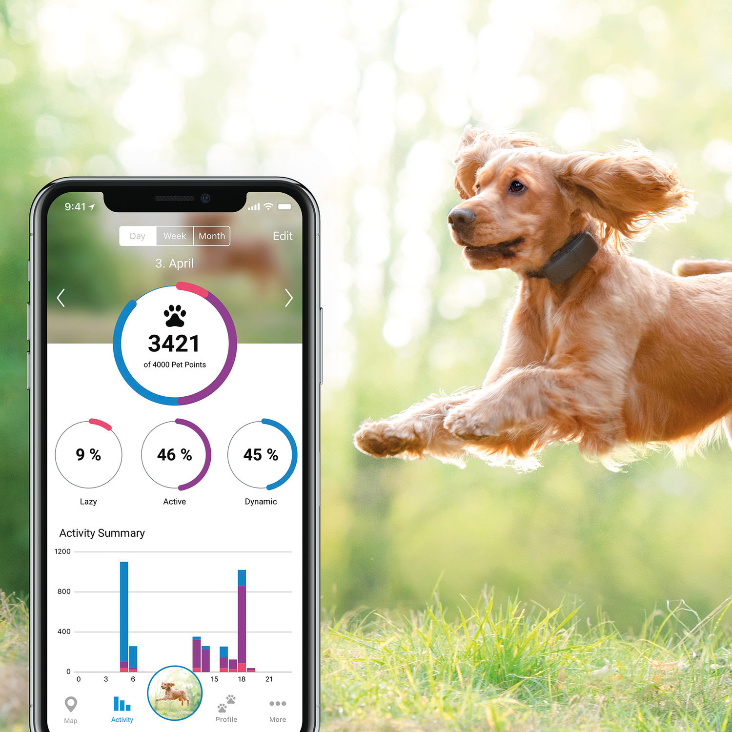 Tractive GPS Tracker Hunde Bestellen
