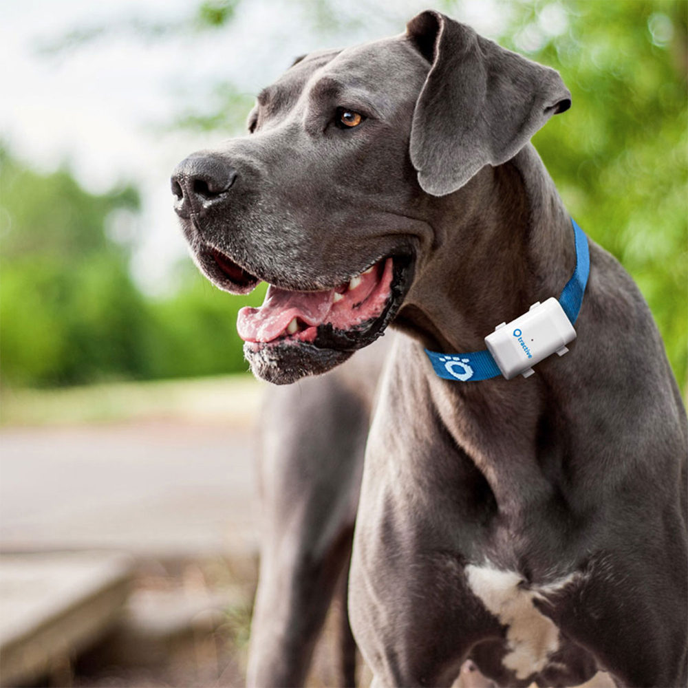 Tractive GPS Tracker XL for dogs