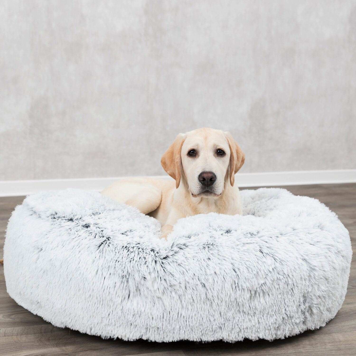 Trixie Dog Bed Harvey Dogs Shop