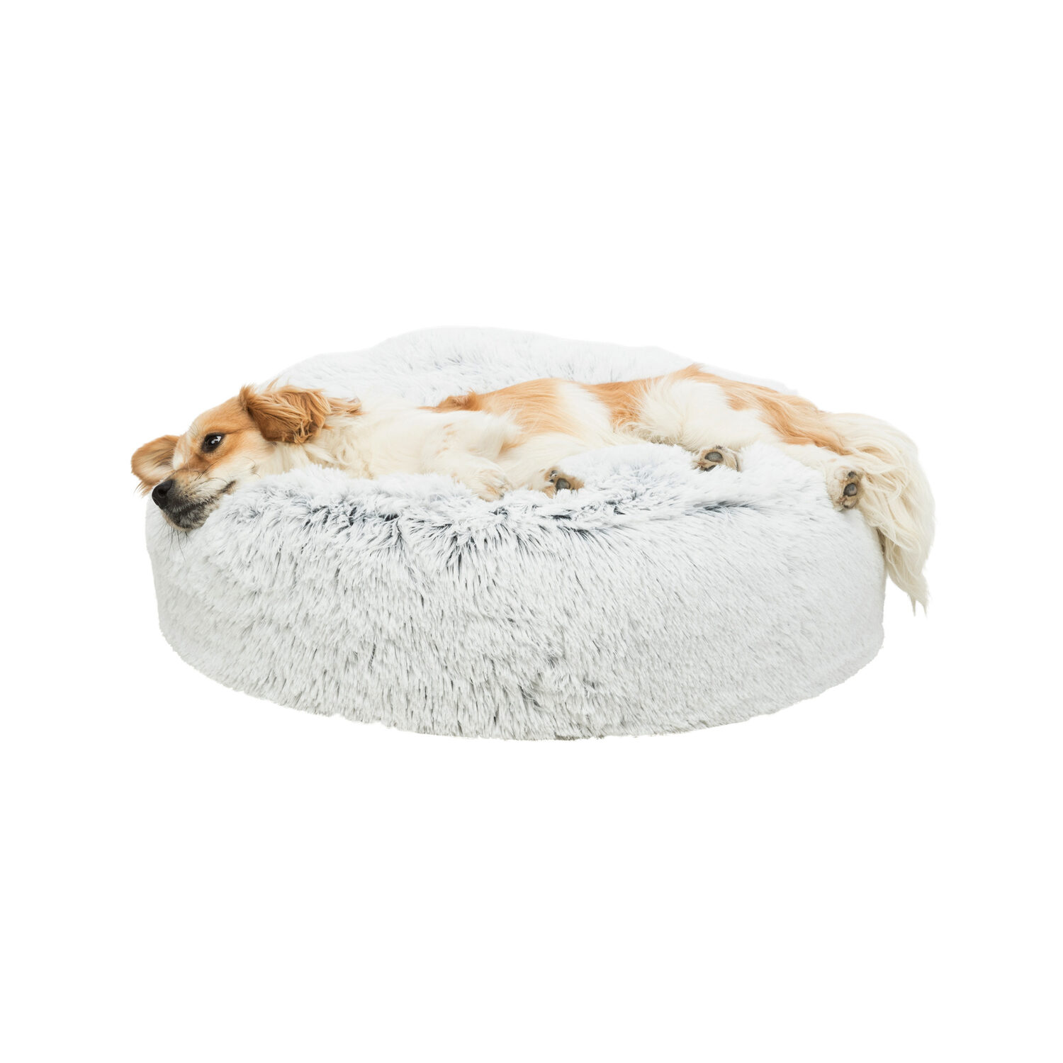 Trixie Dog Bed Harvey Dogs Shop